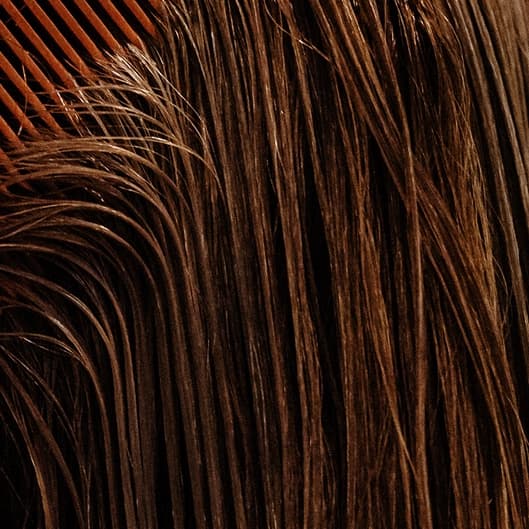 Tame + Trim ( Spring special 2026) at Hailey Noelle Hair in Chicago, IL